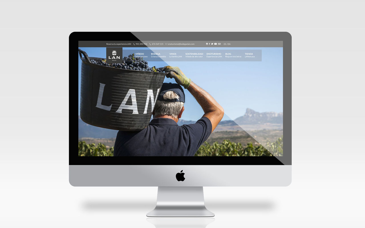 momo_bodegaslan_website_int